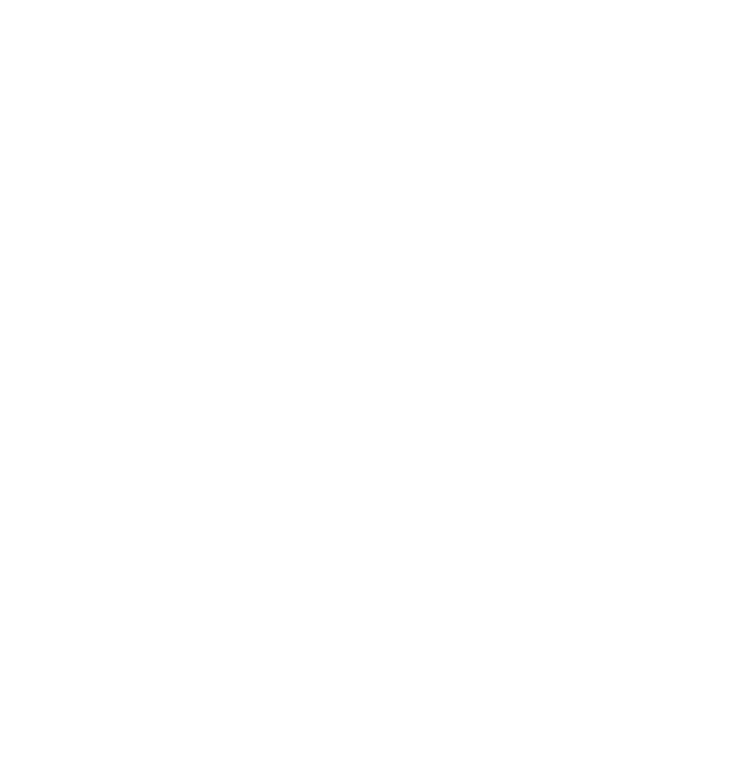 Jaime Lee Brow Specialist